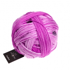 Schoppel - Gradient - 2517 Pink Affaire